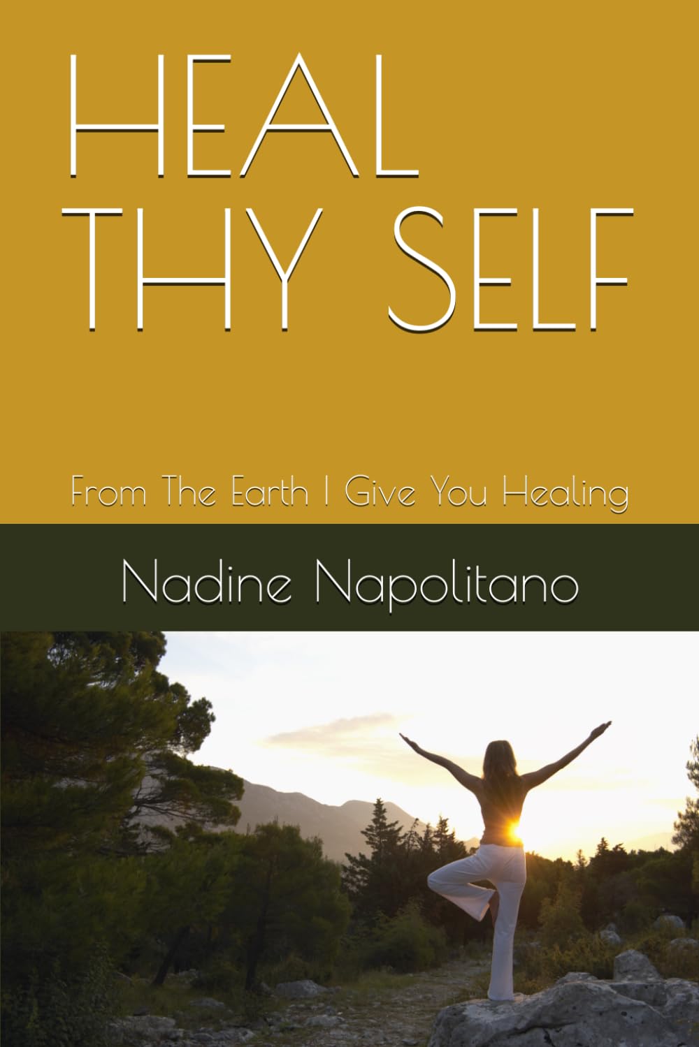 heal thy self book